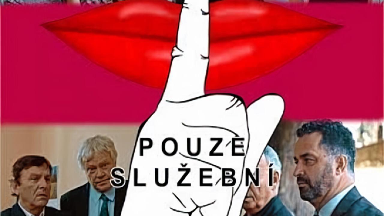 Tajemství pouze služební