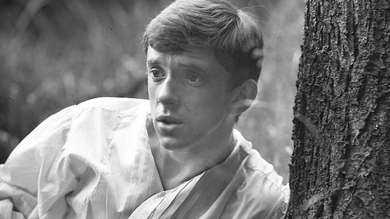 Romance pro křídlovku