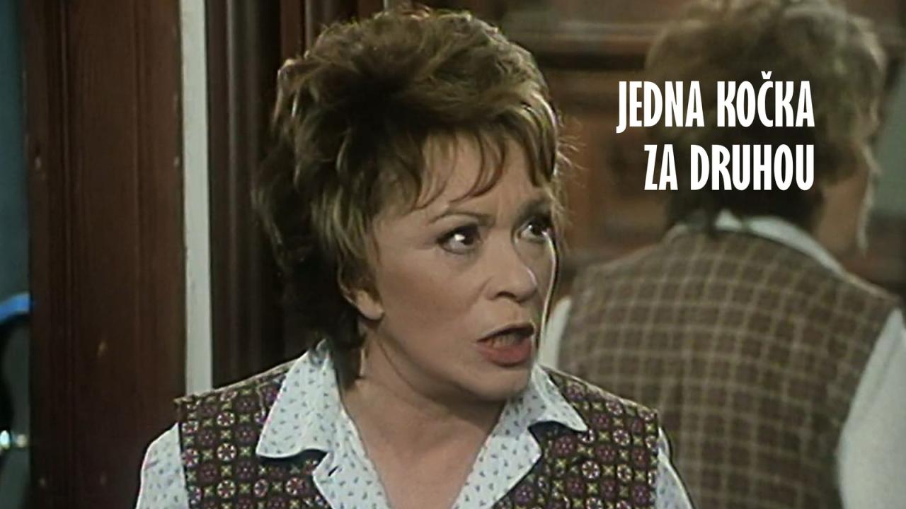 Jedna kočka za druhou
